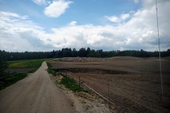 IMG_20210521_122853_646