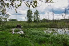 IMGP9636