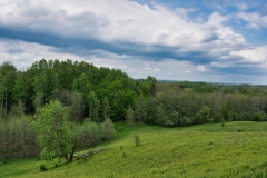 IMGP9639