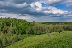 IMGP9641